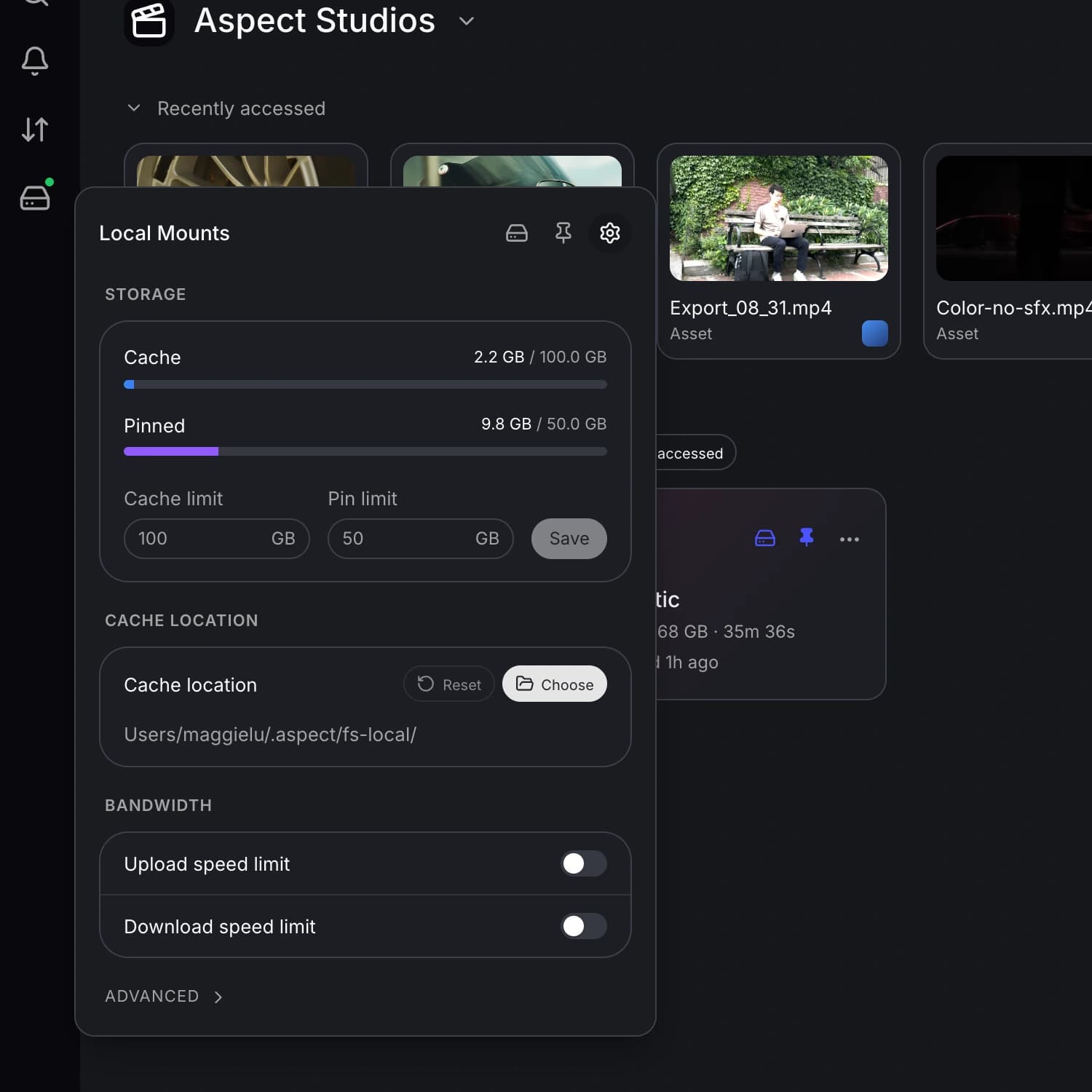 Cache capacity, disk usage, and local storage settings.