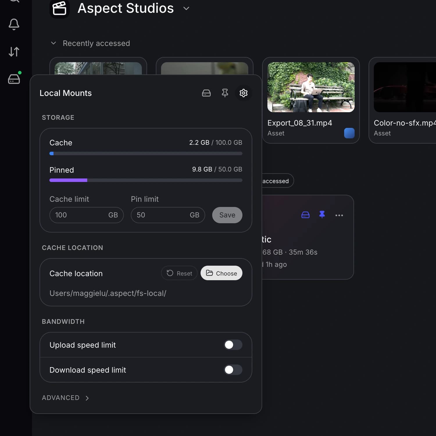 Upload and download speed limits live alongside your mount settings.