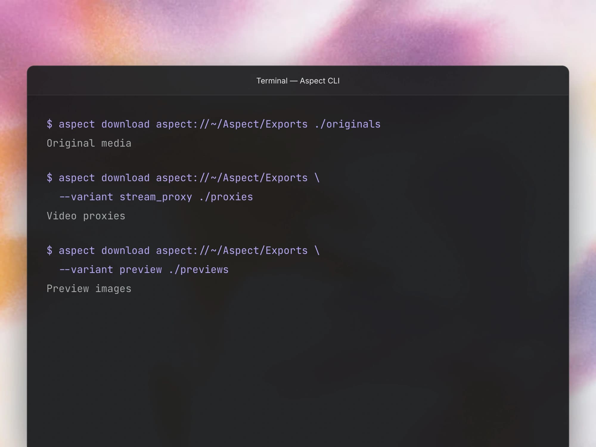 Choose originals, video proxies, or preview images with the CLI’s download variant option.