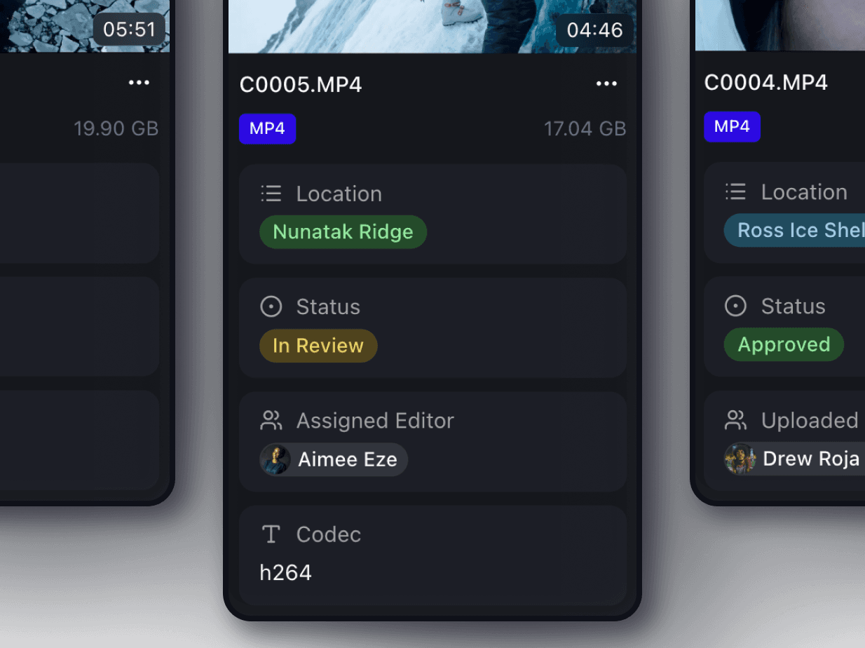 Custom metadata fields with text, date, and multi-select options