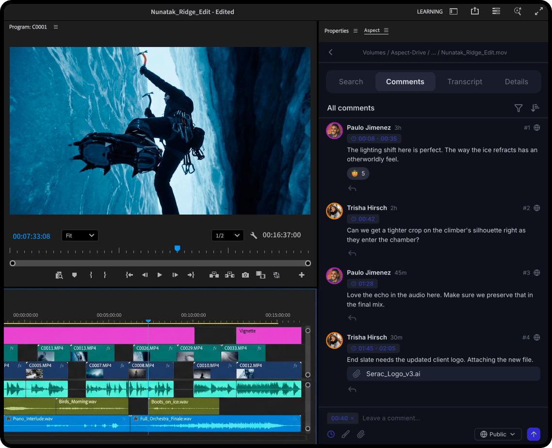 Review and approve workflow panel inside Adobe Premiere Pro