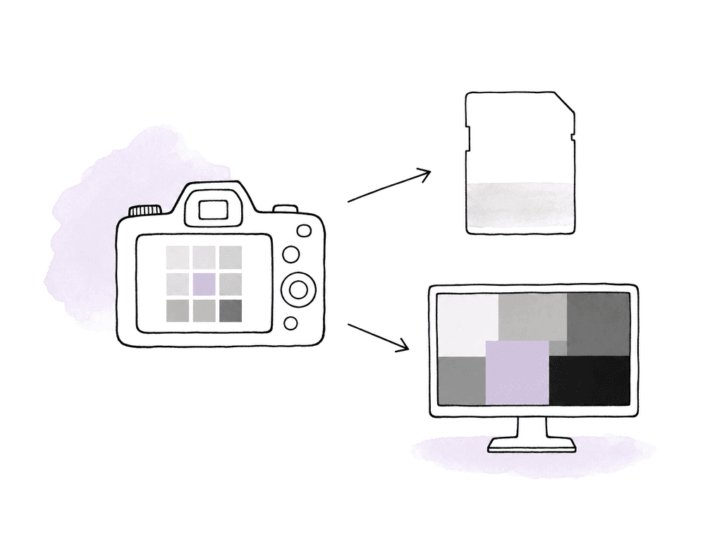 Doodle diagram of a camera sending a clean image to a media card and a transformed image to a monitor.