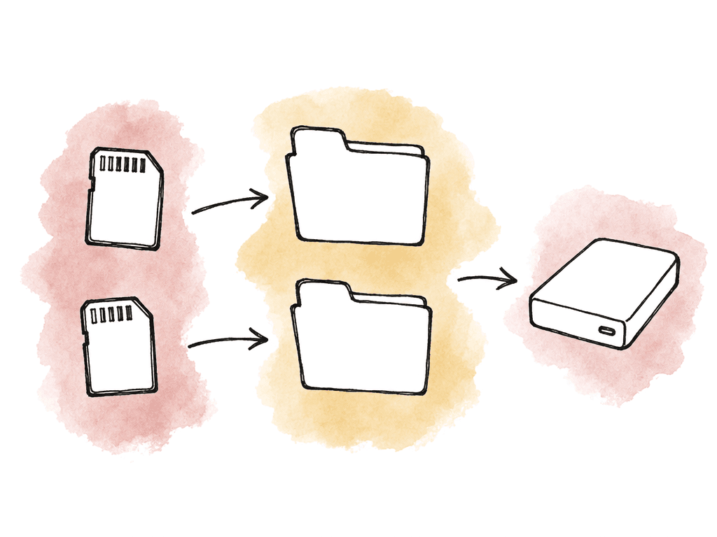 Camera cards kept while folders and a backup drive are made.
